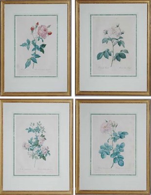 Lot 4113 - After Pierre-Joseph Redoute ROSA ALBA REGALIS;...