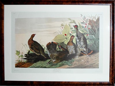 Lot 106 - After John James Audubon SPOTTED GROUS Color...