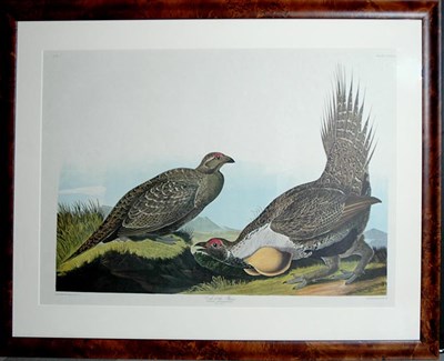 Lot 98 - After John James Audubon COCK OF THE PLAINS...