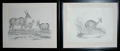 Lot 108 - After Benjamin Waterhouse Hawkins...