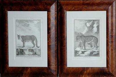 Lot 113 - After De Seve LE COUGAR FEMELLE and LA...
