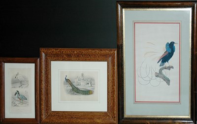 Lot 3135 - After Edouard Travies [BIRD STUDIES] Six...