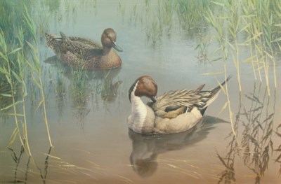 Lot 3056 - William Hollywood American, 20th Century Ducks...