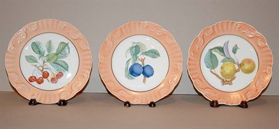Lot 568 - Twelve Mottahedeh Porcelain Fruit Plates...