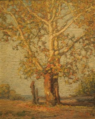 Lot 3009 - American School 20th Century Fall Foliage...