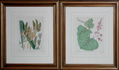 Lot 3123 - S. Curtis, publisher [FLOWER STUDIES] Four...