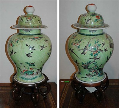 Lot 535 - Pair of Asian Bird Decorated Green Glazed...