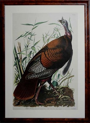 Lot 3114 - After John James Audubon WILD TURKEY, MALE...