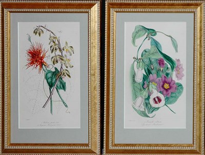 Lot 3138 - S. Holden [FLOWER STUDIES] Two hand-colored...