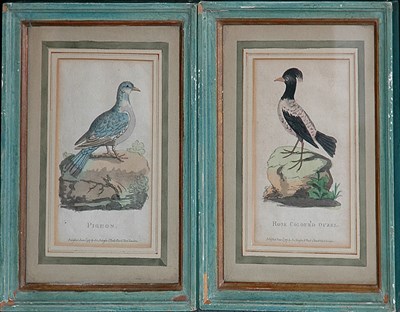 Lot 3109 - Joseph Johnson, publisher AMERICAN REDSTART OR...