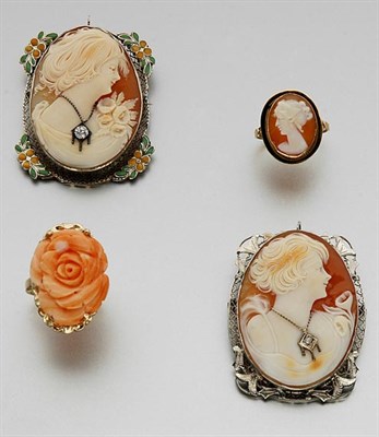 Lot 814 - Two Shell Cameo Brooches and Ring and One Carved Coral Ring