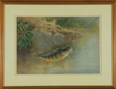 Lot 2300 - Samuel A. Killbourne STRIPED BASS; YELLOW...