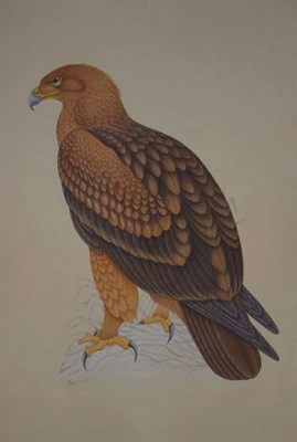 Lot 42 - K. Kumar 20th Century Golden Eagle Signed K....