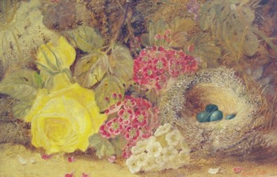Lot 3050 - Oliver Clare British, 1853-1927 Bird Nest...