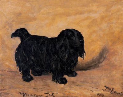 Devonshire Joe