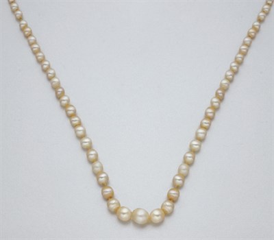 Lot 7 - Pearl Necklace with Diamond Clasp