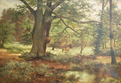 Lot 3044 - British School 19th Century Forest Scene...