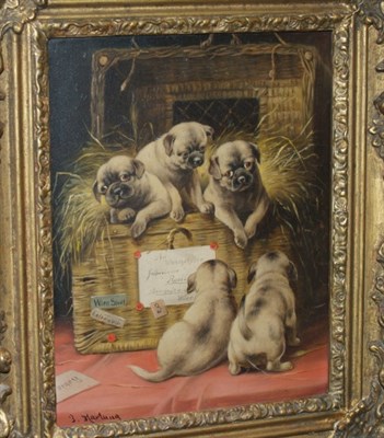 Lot 1061 - Attributed to Johann Hartung Pups in a Basket...