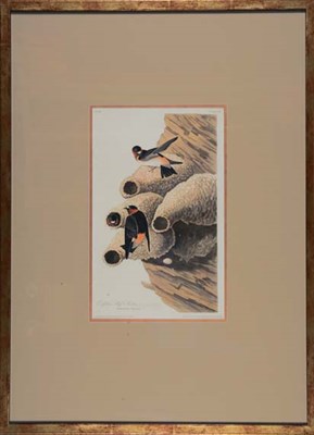 Lot 2303 - After John James Audubon REPUBLICAN CLIFF...