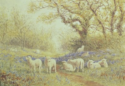 Lot 3020 - John Carlisle British, 19th Century Sheep...