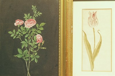 Lot 1068 - Miscellaneous Group of Still Lifes and Floral...
