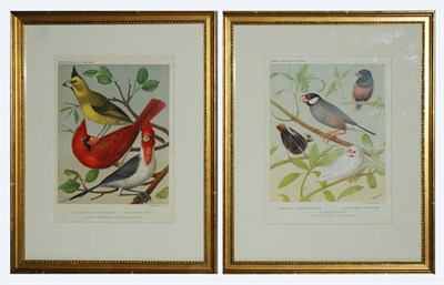 Lot 4103 - Vincent, Brooks, Day & Son, lithographers...