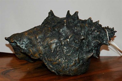 Lot 4231 - Bronze Seashell Height 6 1/2 inches.