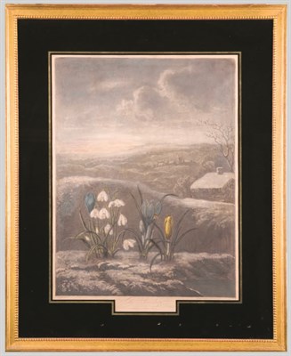 Lot 1079 - Dr. Thornton, publisher THE SNOWDROP...