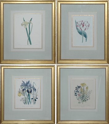 Lot 102 - Day & Haghe, lithographers [FLOWER STUDIES]...