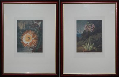 Lot 108 - Dr. Robert John Thornton, publisher AMERICAN...