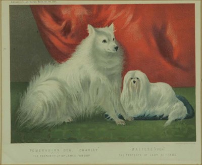 Lot 1095A - Vincent Brooks Day & Son, lithographers...