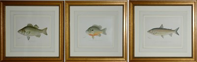 Lot 85 - After S. F. Denton [FISH STUDIES] Nine...