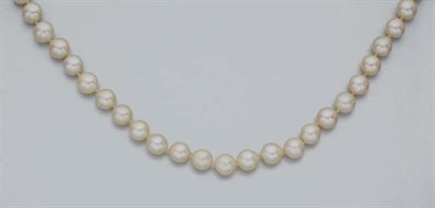 Lot 2205 - Long Cultured Pearl Necklace