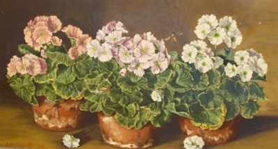 Lot 41 - Sondra Lipton American, 20th Century Still...