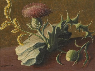 Lot 2315 - Roger Medearis American, 1920-2001 Thistle and...