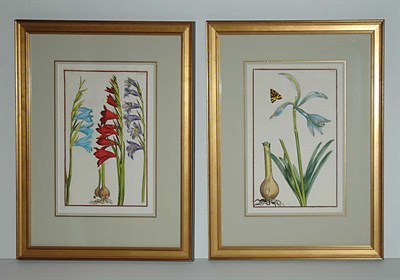 Lot 82 - After Daniel Rabel [FLOWER STUDIES] Two...