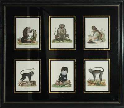 Lot 87A - After De Seve [SIMIAN STUDIES] Six...