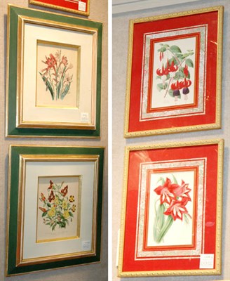Lot 110A - Jane Loudan [FLOWER STUDIES] Two hand-colored...