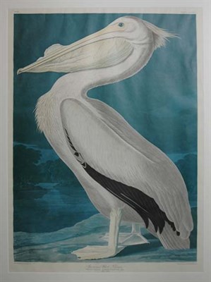 Lot 1095 - After John James Audubon AMERICAN WHITE...