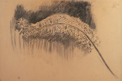 Lot 2107 - Piet Mondrian Dutch, 1872-1944 Foxtail Lily:...