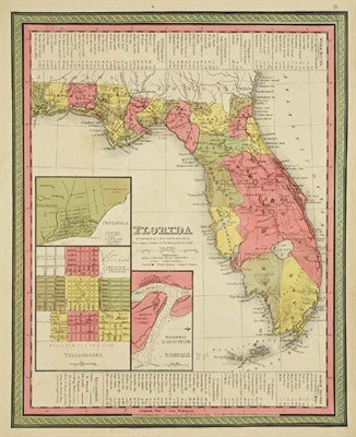 Lot 3076 - S. Augustus Mitchell FLORIDA Hand-colored...