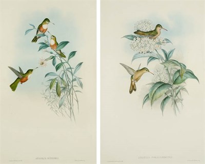 Lot 90A - J. Gould & H.C. Richter [HUMMINGBIRDS] Two...