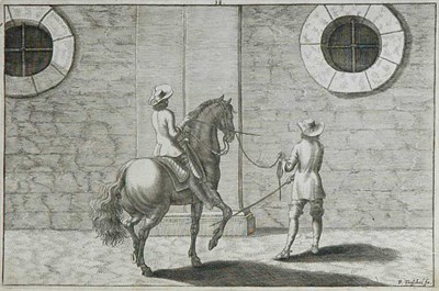 Lot 66 - After George Simon Winter [DRESSAGE STUDY]...