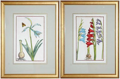 Lot 62 - After Daniel Rabel [FLOWER STUDIES] Two...