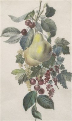 Lot 3037A - French School 19th Century Fruit and Botanical...