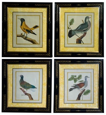 Lot 107 - Francois Martinet [BIRD STUDIES] Six...