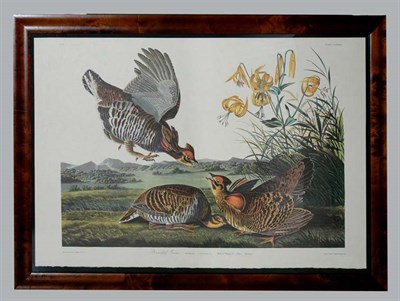 Lot 1118 - After John James Audubon PINNEATED GROUSE...