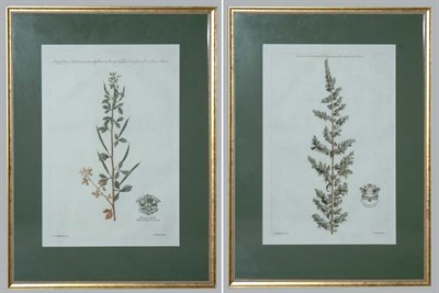 Lot 1106 - After Jan Van Huysum [PLANT STUDIES] Two...