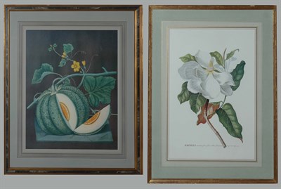 Lot 1123 - Artist Unknown MAGNOLIA Color...
