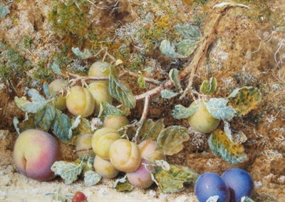 Lot 1013 - William Hough British, 1819-1897 Still Life of...